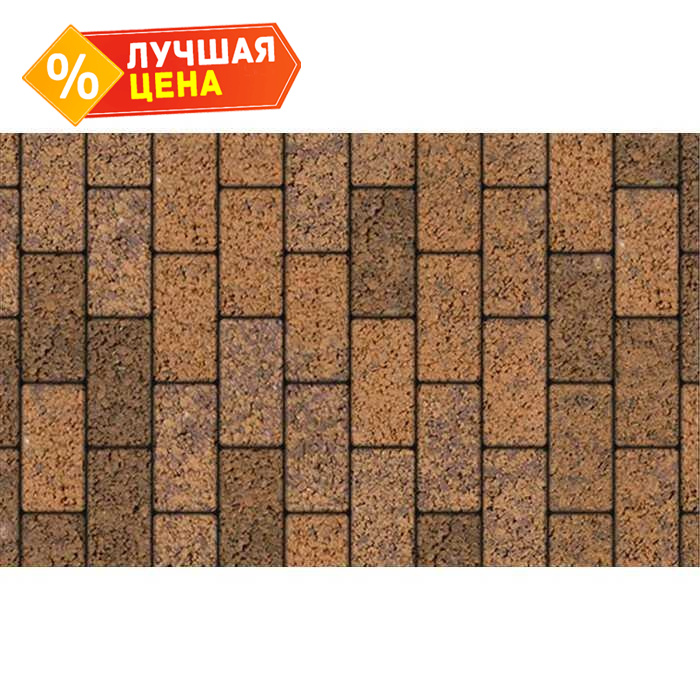 Плитка тротуарная Прямоугольник (Ла-Линия) Б.2.П.6 Листопад гладкий Арабская ночь 200x100x60 мм
